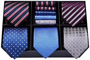 HISDERN Mens Ties Set 5PCS Collection Tie and Pocket Sqaure Formal Business Neckties Gift Box Wedding Necktie for Men