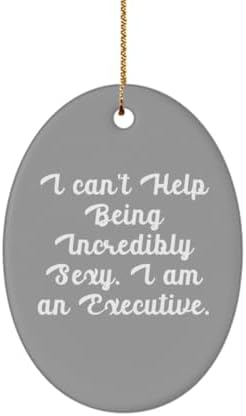 You are currently viewing I Can’t Help Being Incredibly.. Executive Oval Ornament, Inspire Executive Gifts, Christmas Ornament for Coworkers from Friends, Funny Oval Ornament Gift Ideas, Funny Oval Ornament Gift Set, Funny