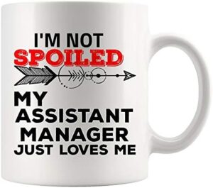 Read more about the article I Love My Assistant Manager Mug Coffee Cup Tea Mugs – Boss Band HR Directors Choir Executive Camp Funeral Athletic Sales Gift for Him Her Wife Husband Son Daughter