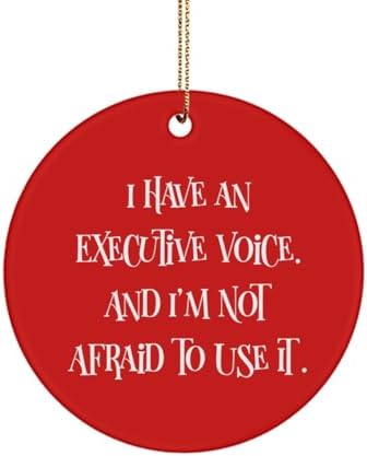 You are currently viewing Joke Executive Gifts, I Have an Executive Voice. and, Executive Circle Ornament from Coworkers, Christmas Ornament for Men Women, Funny Executive Circle Ornament Gift Ideas, Funny Executive Circle