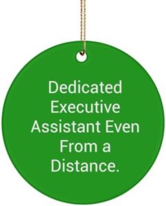 Read more about the article Perfect Executive Assistant Circle Ornament, Dedicated Executive Assistant, Present for Coworkers, New Gifts from Colleagues, Personal Assistant Gift, Unique Gifts for Executive Assistants, Executive