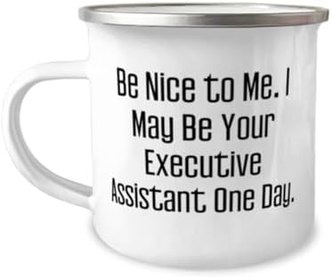 Special Executive assistant 12oz Camper Mug, Be Nice to Me. I, Best Gifts for Friends from Coworkers, Birthday Unique Gifts, Best gifts for executive assistant, Gift ideas for executive assistant,
