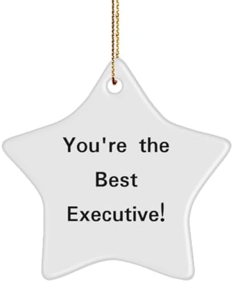 You are currently viewing Unique Executive Gifts, You’re The Best!, Unique Birthday Star Ornament Gifts Idea for Coworkers, Executive Gifts from Friends, Executive Birthday Gift Ideas, Unique Executive Birthday Gifts, Best